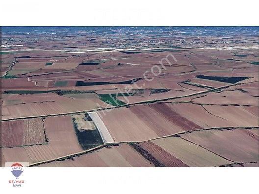 Erenler Büyükesence'de Sulama Kanalı Yanında Düz Verimli Tarla — fotoğraf 10