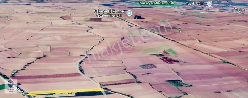 Erenler Büyükesence'de Sulama Kanalı Yanında Düz Verimli Tarla — fotoğraf 14