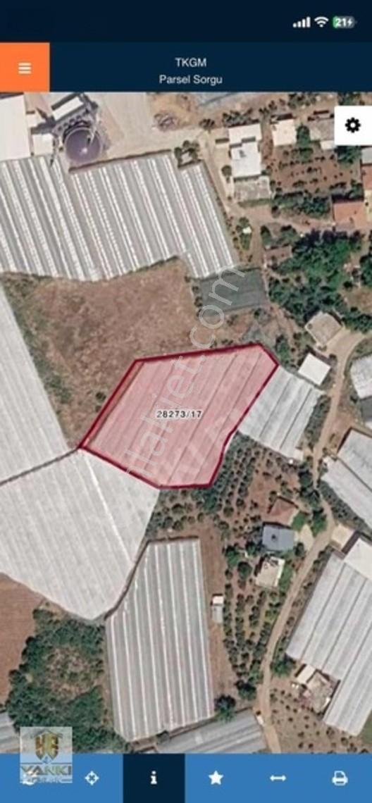 Gazilerde 3.996 M² + 1.240 M² Sera Ve Tarımsal Üretim Alanı — fotoğraf 6