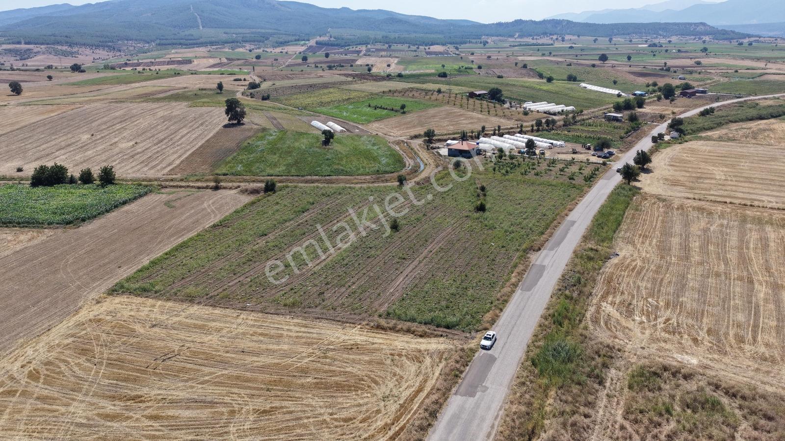 Asfalt Yola Cepheli Köy Yerleşimlerine Yakın Yatırımlık Tarla — fotoğraf 6