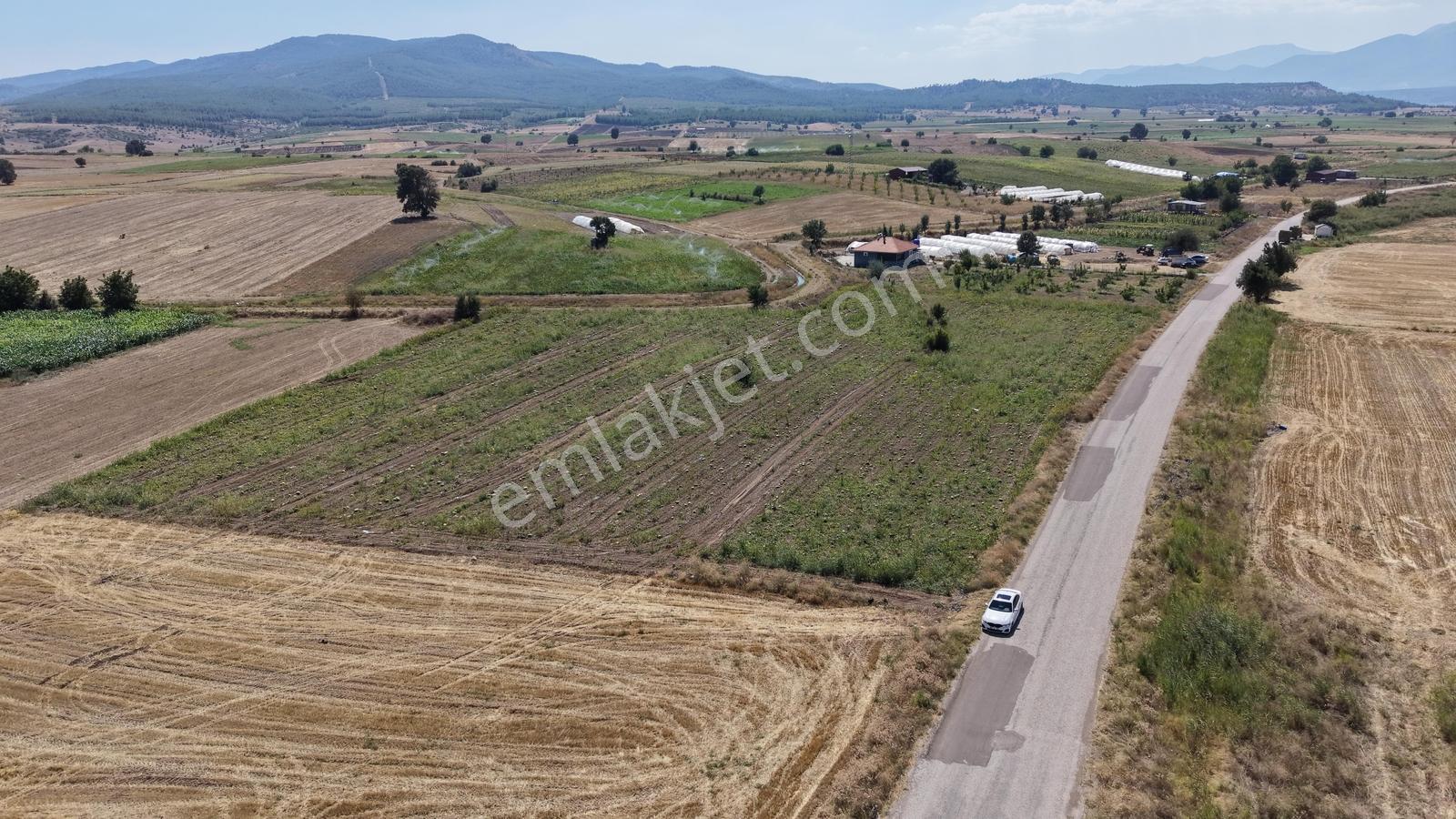 Asfalt Yola Cepheli Köy Yerleşimlerine Yakın Yatırımlık Tarla — fotoğraf 10