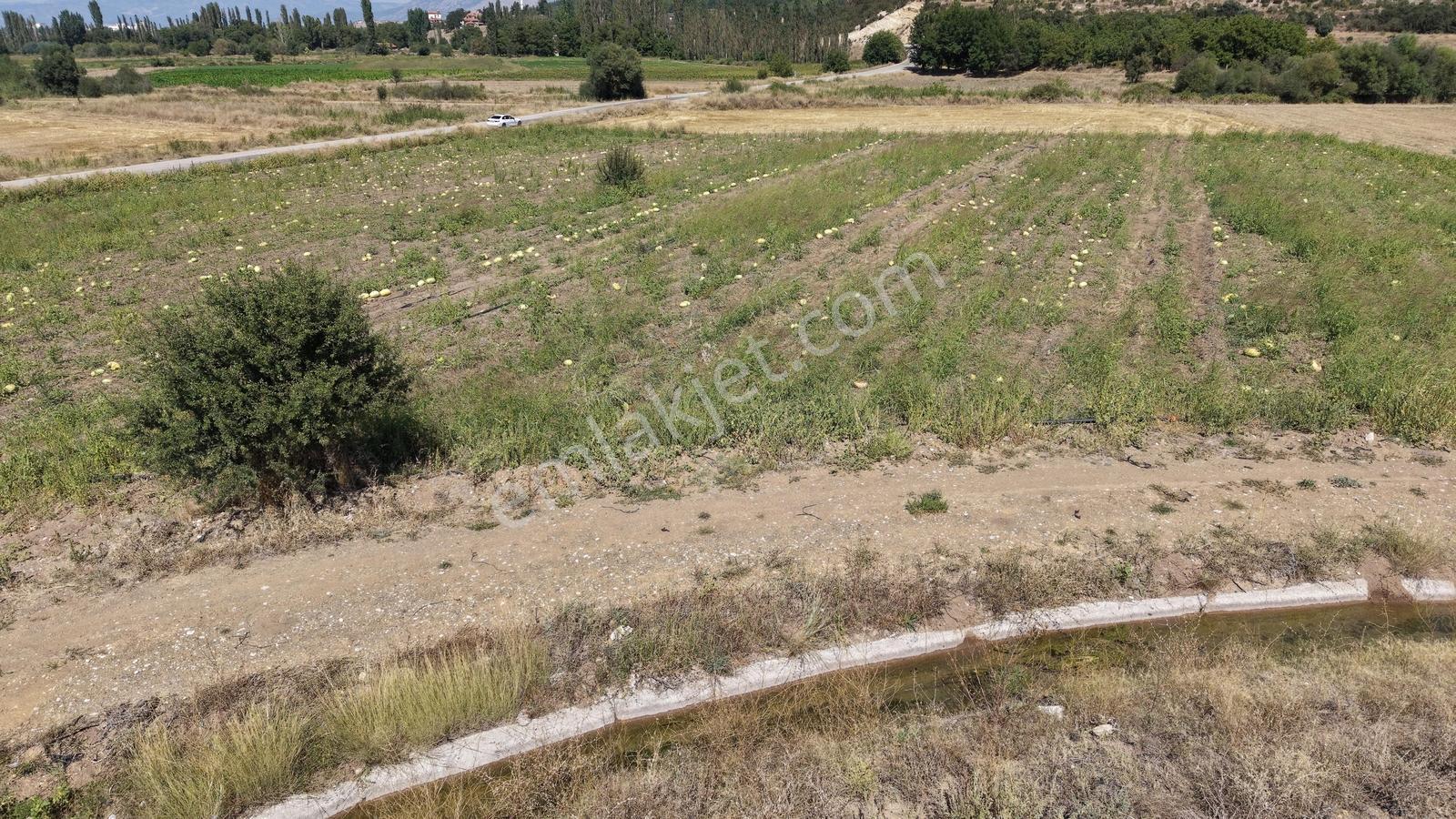 Asfalt Yola Cepheli Köy Yerleşimlerine Yakın Yatırımlık Tarla — fotoğraf 11