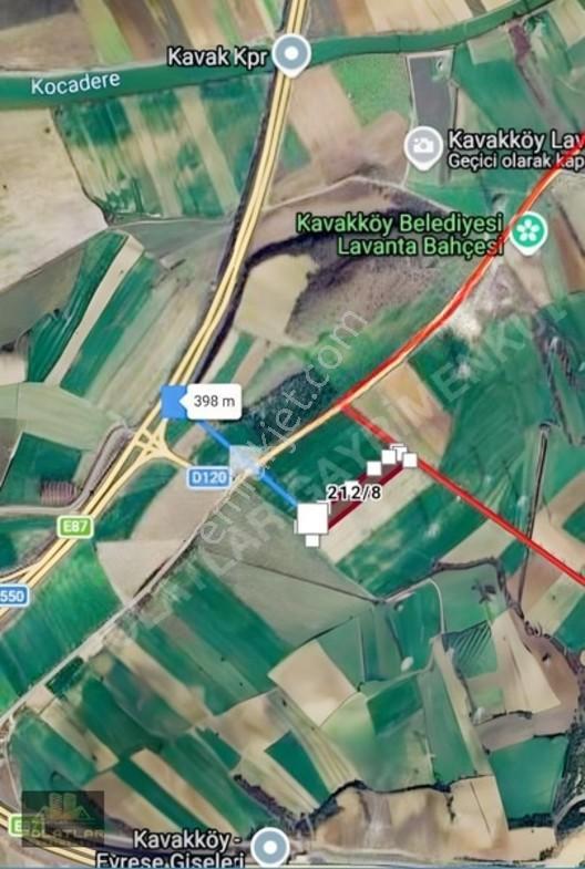 Gelibolu Kavak'ta Denize 2 Km,hayvancılığa Uygun 10,5dönüm Tarla — fotoğraf 4