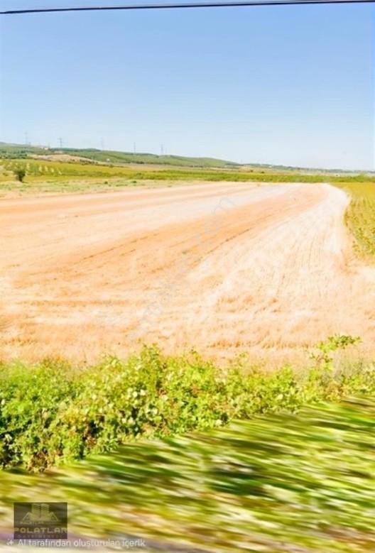 Gelibolu Kavak'ta Denize 2 Km,hayvancılığa Uygun 10,5dönüm Tarla — fotoğraf 9