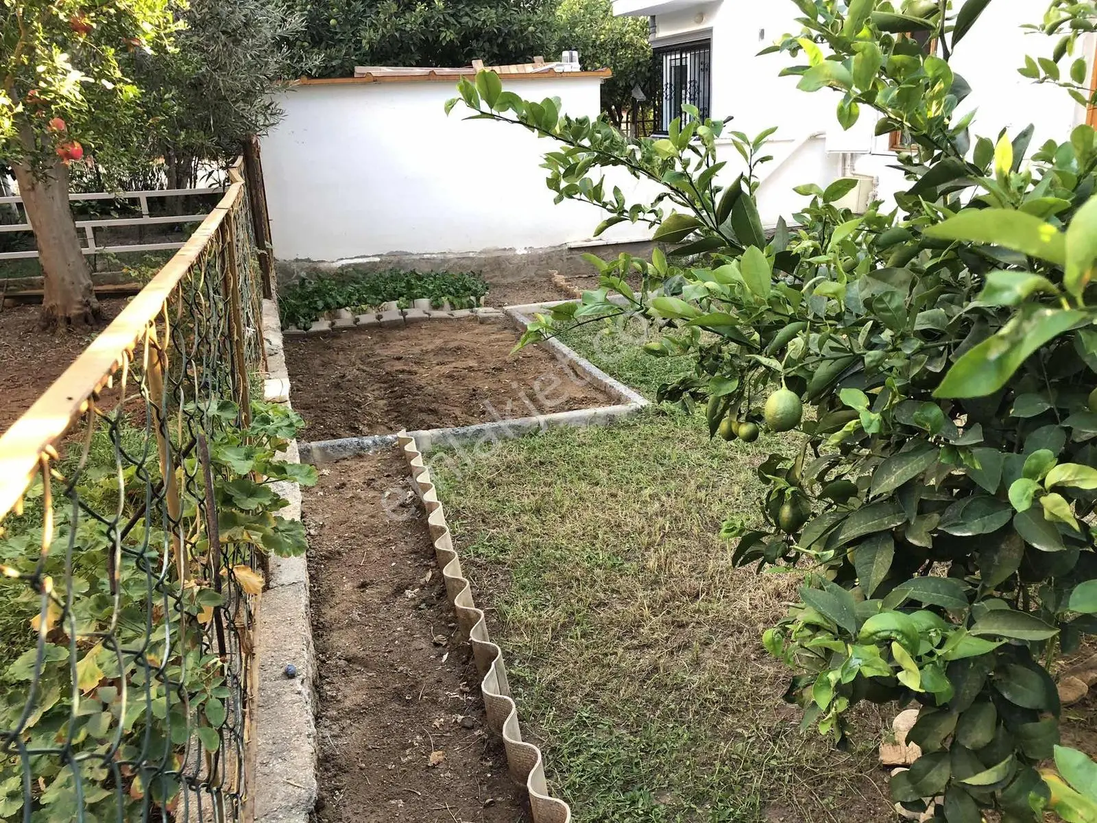 Didim Akbükte Merkezi Konumda Saatılık Yazlık — fotoğraf 33