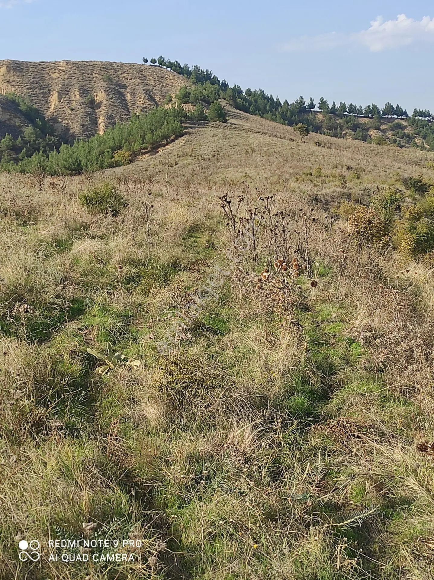 Tokat Erbaa Tepe Mah Asrın Life Siteleri Yakını Satılık 15.703 M2 Tek Tapu Meyilli Arazi — fotoğraf 7