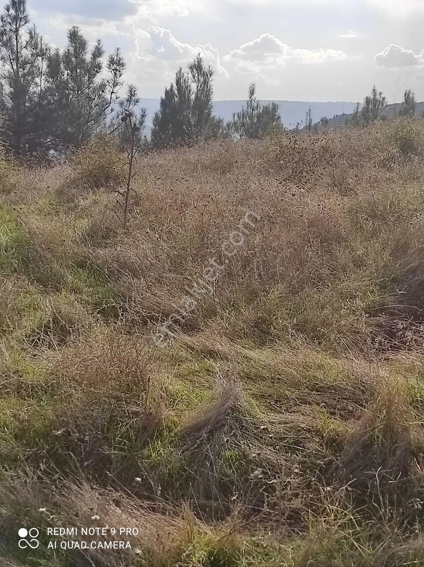 Tokat Erbaa Tepe Mah Asrın Life Siteleri Yakını Satılık 15.703 M2 Tek Tapu Meyilli Arazi — fotoğraf 10