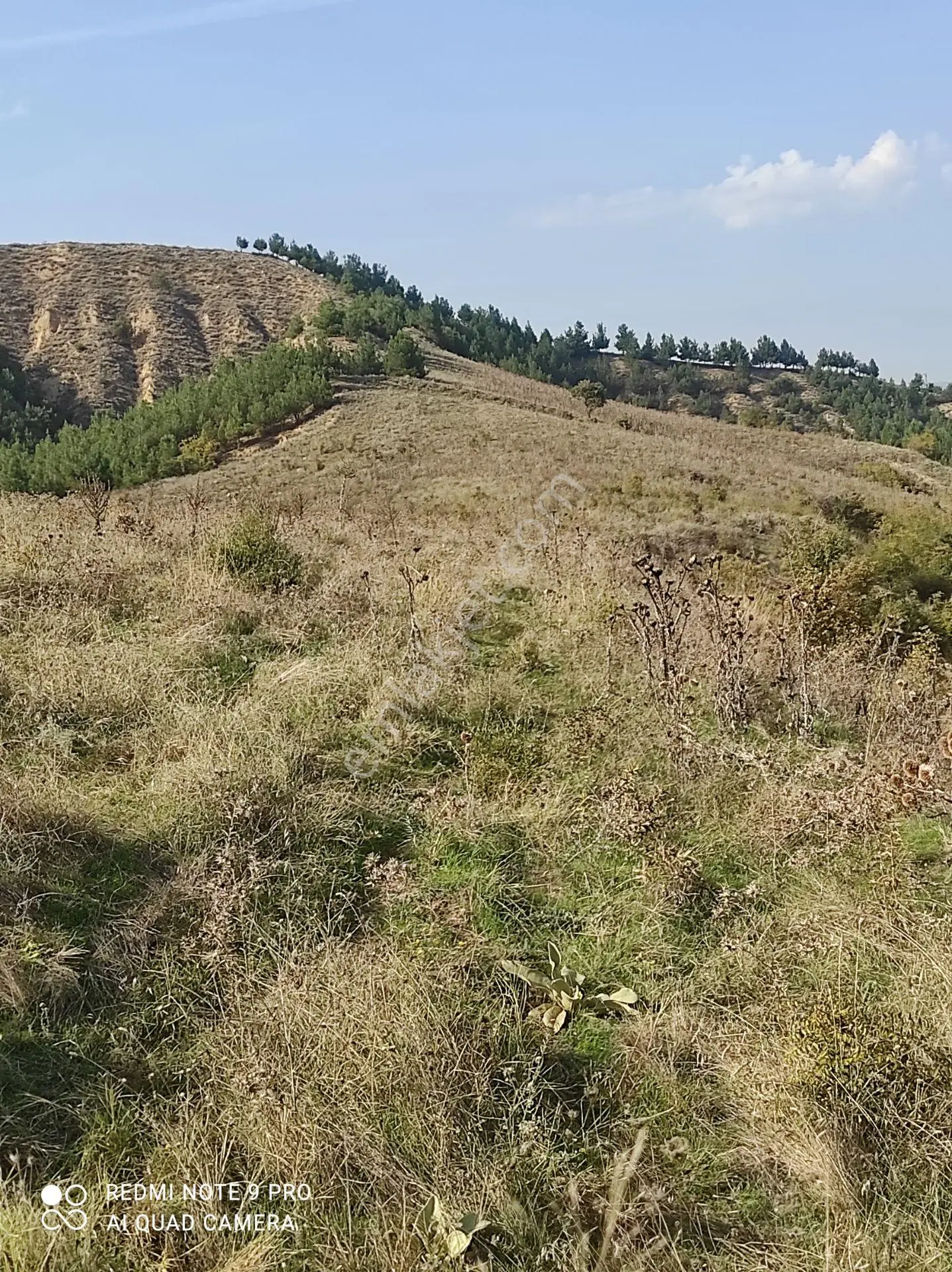 Tokat Erbaa Tepe Mah Asrın Life Siteleri Yakını Satılık 15.703 M2 Tek Tapu Meyilli Arazi — fotoğraf 13