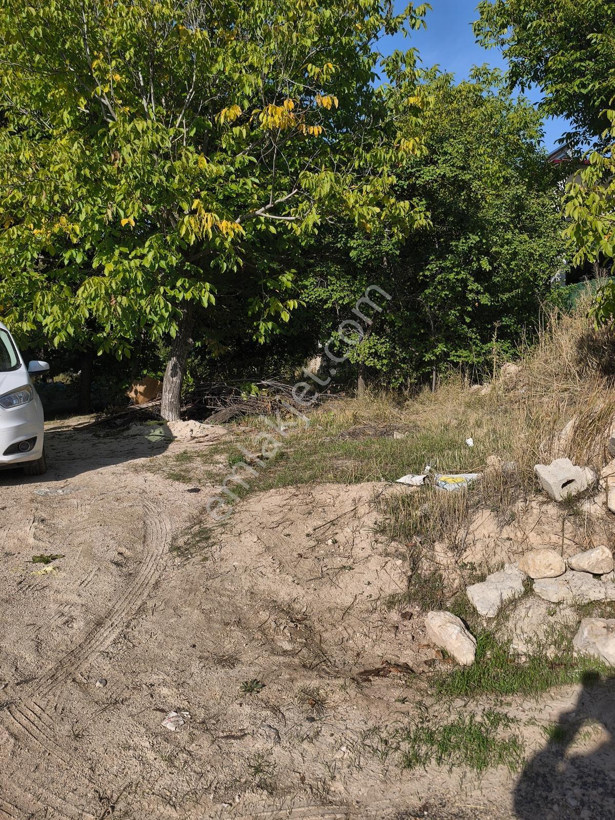 Yıldırım Emlak'Tan Darende Günpınarda Satılık 299 M2 Bahçe-Arsa