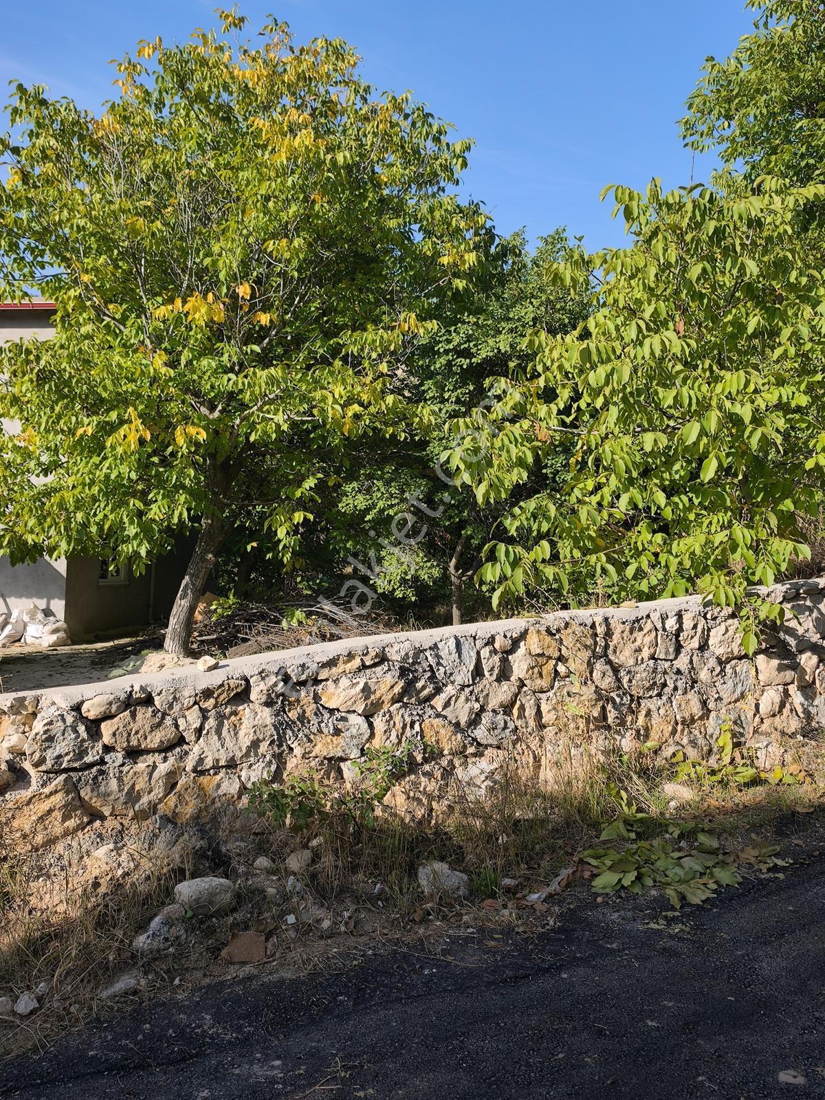Yıldırım Emlak'tan Darende Günpınarda Satılık 299 M2 Bahçe-arsa — fotoğraf 3