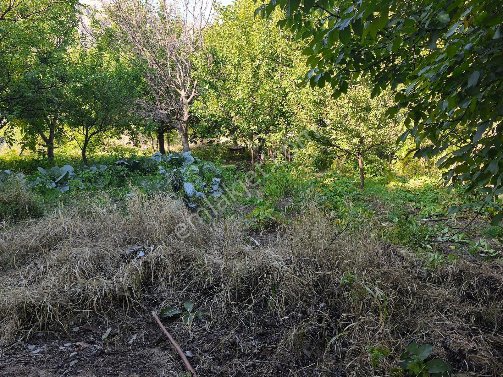 Yıldırım Emlak'tan Darende Günpınarda Satılık 299 M2 Bahçe-arsa — fotoğraf 5