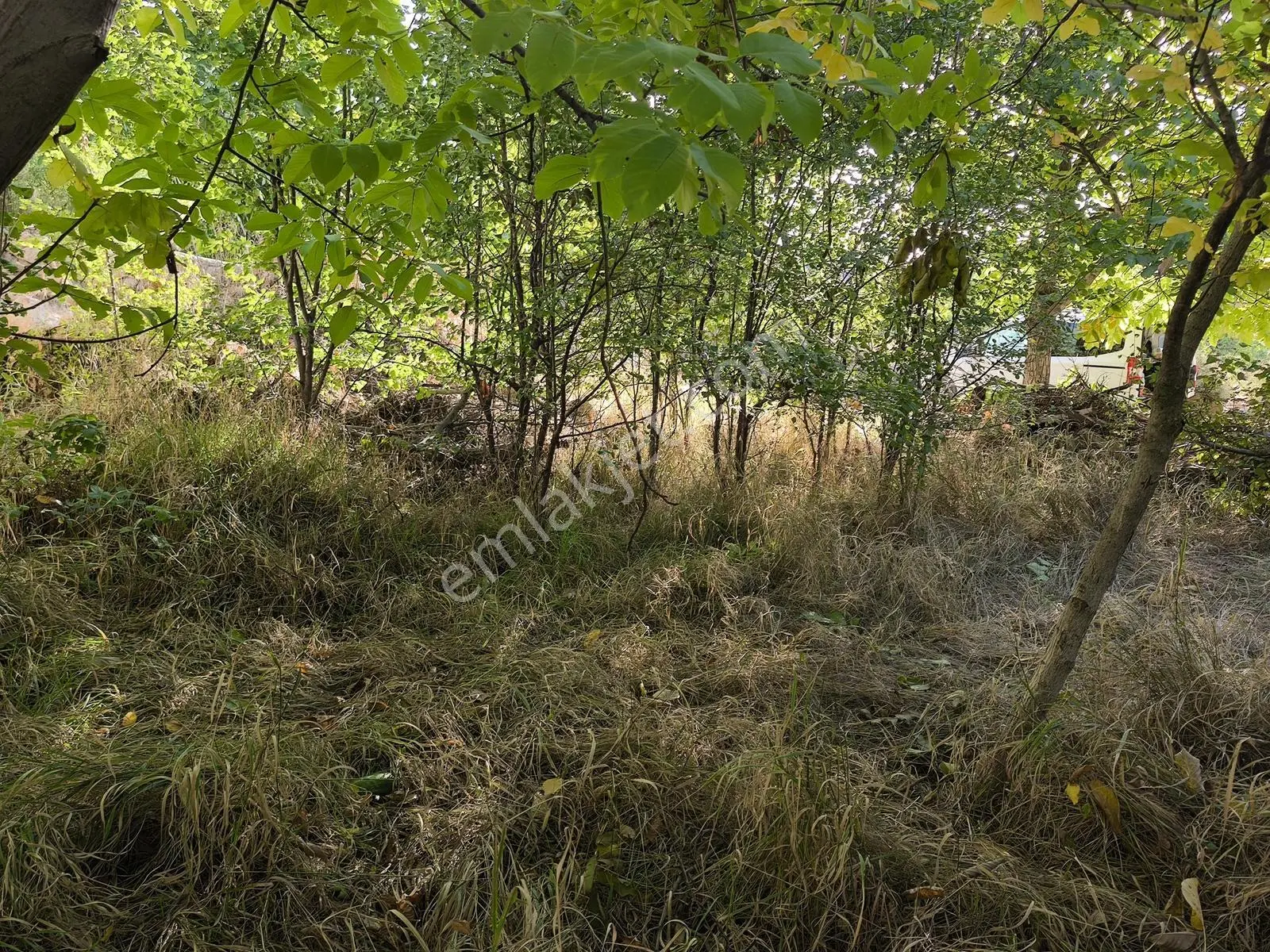 Yıldırım Emlak'tan Darende Günpınarda Satılık 299 M2 Bahçe-arsa — fotoğraf 6