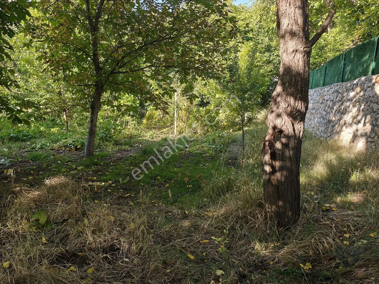 Yıldırım Emlak'tan Darende Günpınarda Satılık 299 M2 Bahçe-arsa — fotoğraf 8