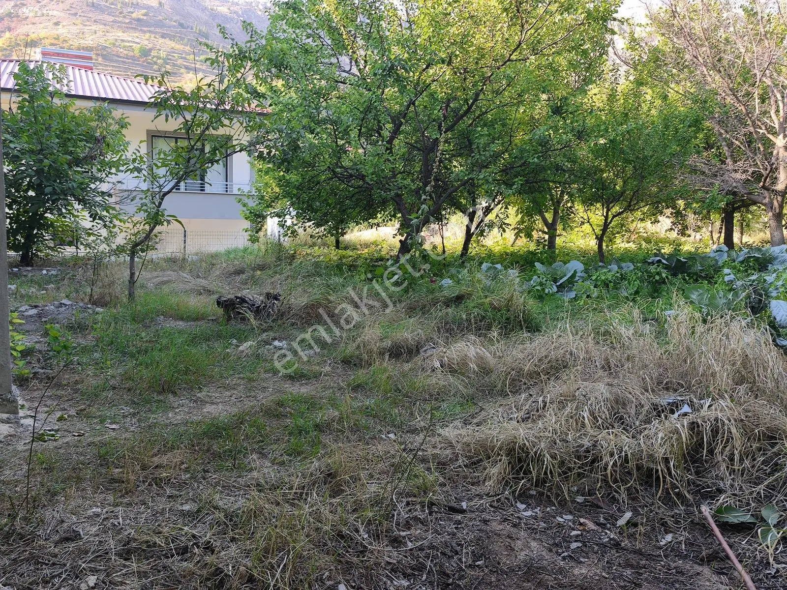 Yıldırım Emlak'tan Darende Günpınarda Satılık 299 M2 Bahçe-arsa — fotoğraf 10