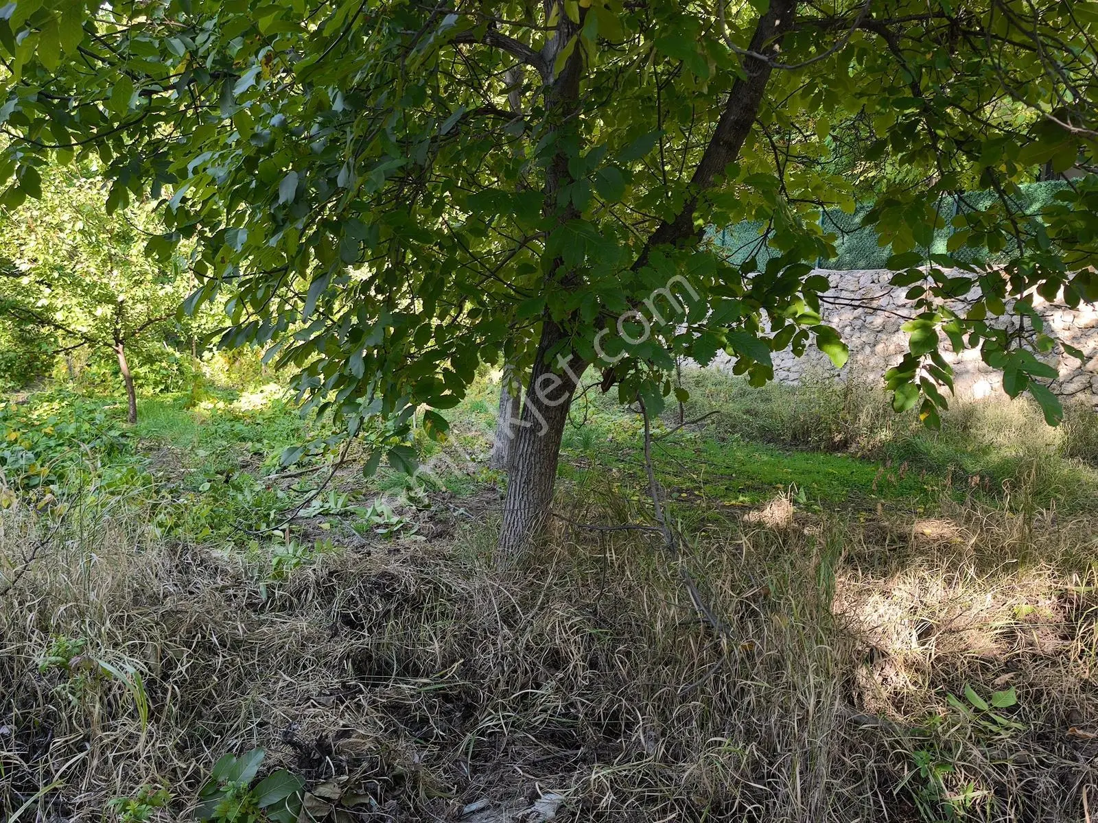 Yıldırım Emlak'tan Darende Günpınarda Satılık 299 M2 Bahçe-arsa — fotoğraf 14