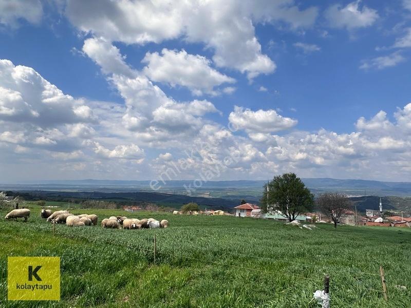 Kolaytapu Şarköy Yeniköy Köy Kenarı 1.809 M² Arsa · Denize 6 Km