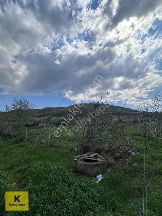 Kolaytapu Şarköy Yeniköy Köy Kenarı 1.809 M² Arsa · Denize 6 Km — fotoğraf 8