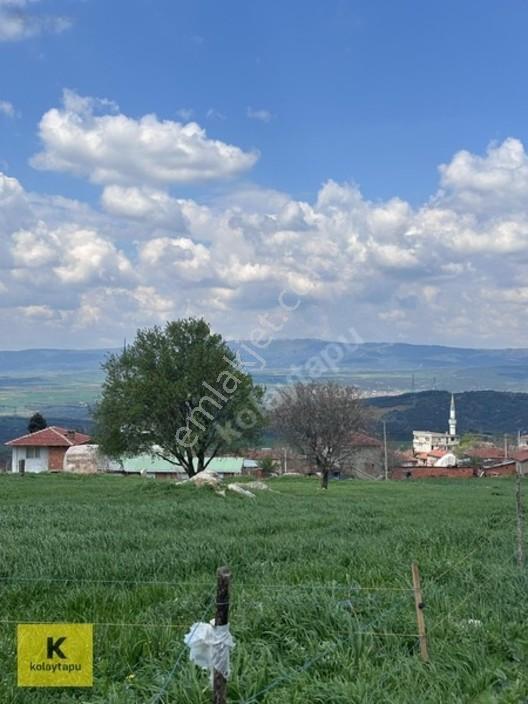 Kolaytapu Şarköy Yeniköy Köy Kenarı 1.809 M² Arsa · Denize 6 Km — fotoğraf 9