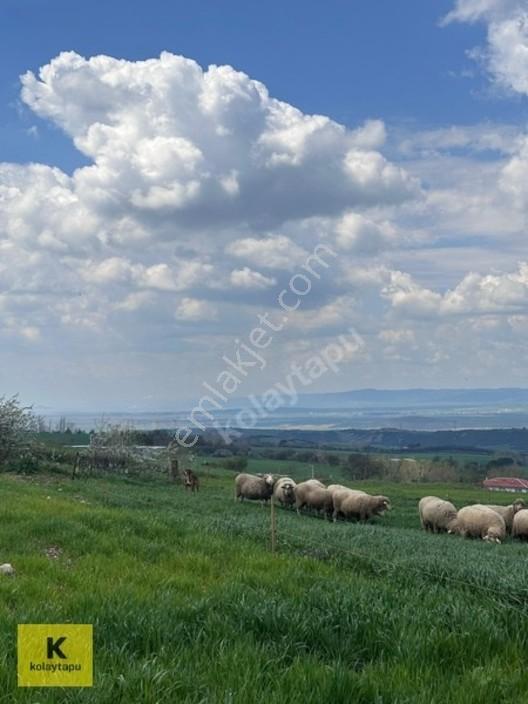 Kolaytapu Şarköy Yeniköy Köy Kenarı 1.809 M² Arsa · Denize 6 Km — fotoğraf 10