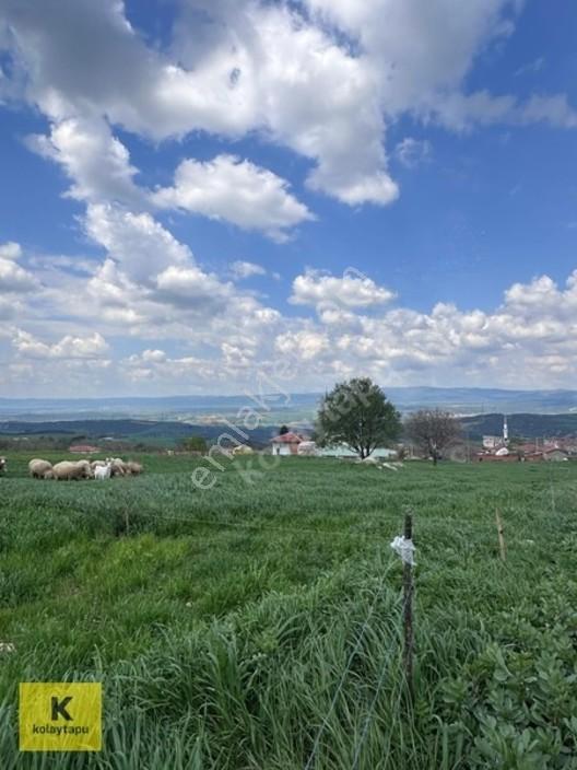 Kolaytapu Şarköy Yeniköy Köy Kenarı 1.809 M² Arsa · Denize 6 Km — fotoğraf 11
