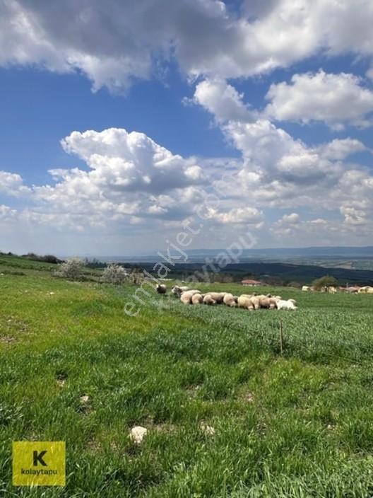 Kolaytapu Şarköy Yeniköy Köy Kenarı 1.809 M² Arsa · Denize 6 Km — fotoğraf 12