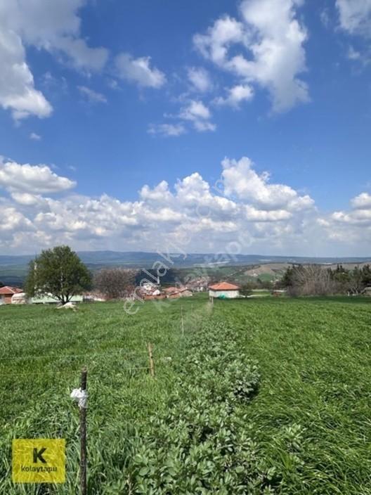 Kolaytapu Şarköy Yeniköy Köy Kenarı 1.809 M² Arsa · Denize 6 Km — fotoğraf 13