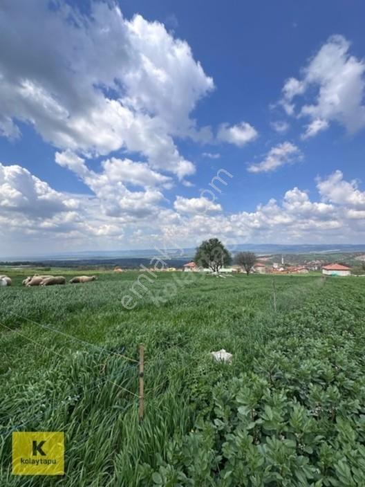 Kolaytapu Şarköy Yeniköy Köy Kenarı 1.809 M² Arsa · Denize 6 Km — fotoğraf 14