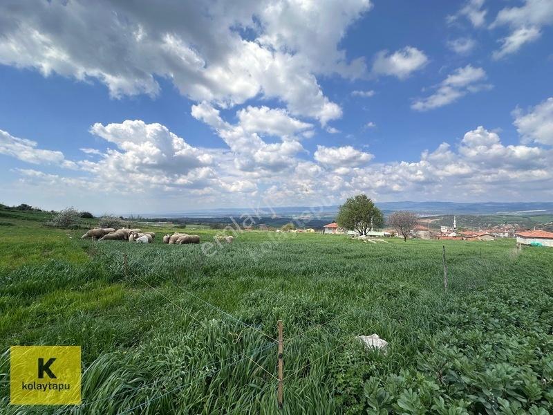 Kolaytapu Şarköy Yeniköy Köy Kenarı 1.809 M² Arsa · Denize 6 Km — fotoğraf 15