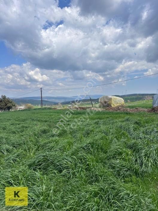 Kolaytapu Şarköy Yeniköy Köy Kenarı 1.809 M² Arsa · Denize 6 Km — fotoğraf 19