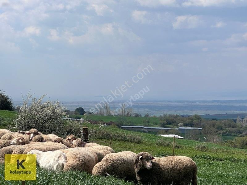 Kolaytapu Şarköy Yeniköy Köy Kenarı 1.809 M² Arsa · Denize 6 Km — fotoğraf 20