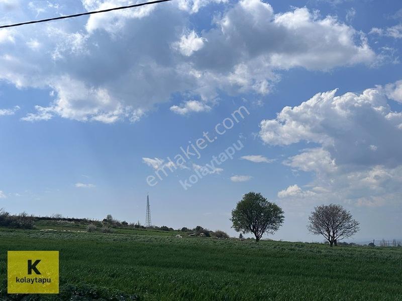 Kolaytapu Şarköy Yeniköy Köy Kenarı 1.809 M² Arsa · Denize 6 Km — fotoğraf 21