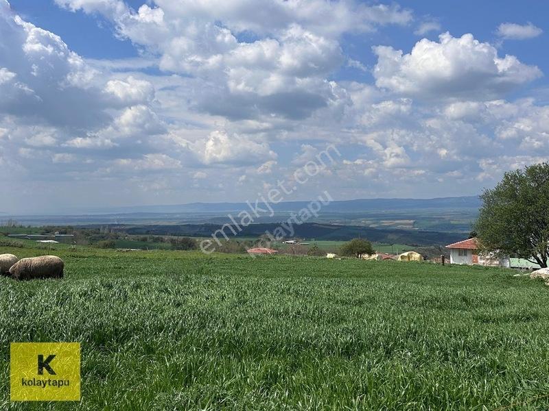 Kolaytapu Şarköy Yeniköy Köy Kenarı 1.809 M² Arsa · Denize 6 Km — fotoğraf 22