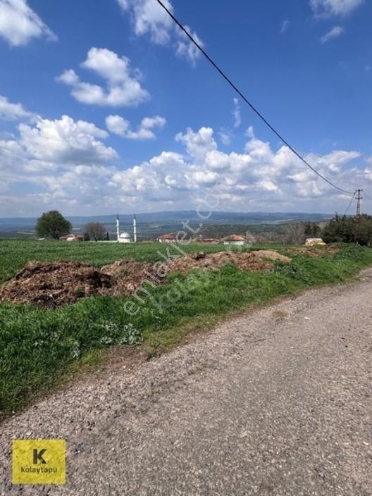 Kolaytapu Şarköy Yeniköy Köy Kenarı 1.809 M² Arsa · Denize 6 Km — fotoğraf 23
