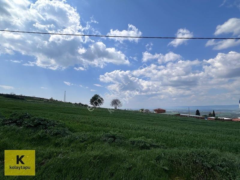 Kolaytapu Şarköy Yeniköy Köy Kenarı 1.809 M² Arsa · Denize 6 Km — fotoğraf 24
