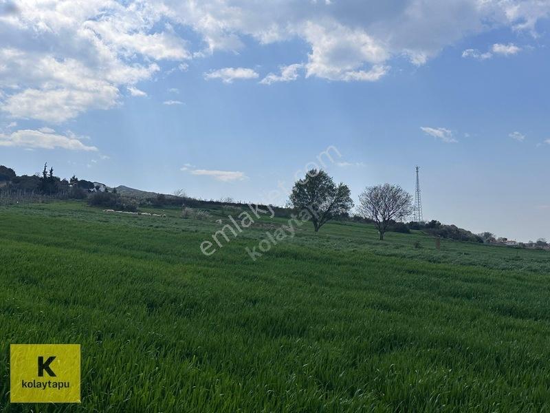 Kolaytapu Şarköy Yeniköy Köy Kenarı 1.809 M² Arsa · Denize 6 Km — fotoğraf 25