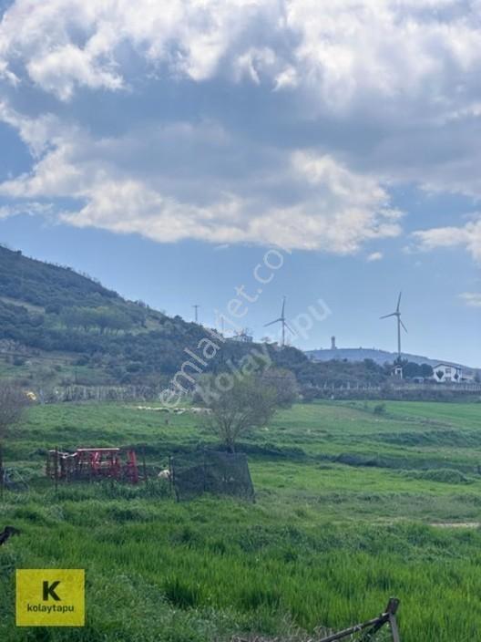 Kolaytapu Şarköy Yeniköy Köy Kenarı 1.809 M² Arsa · Denize 6 Km — fotoğraf 26