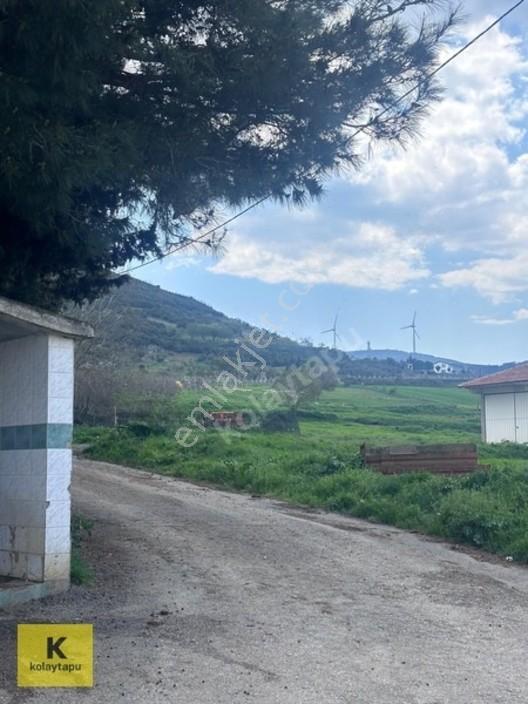 Kolaytapu Şarköy Yeniköy Köy Kenarı 1.809 M² Arsa · Denize 6 Km — fotoğraf 27