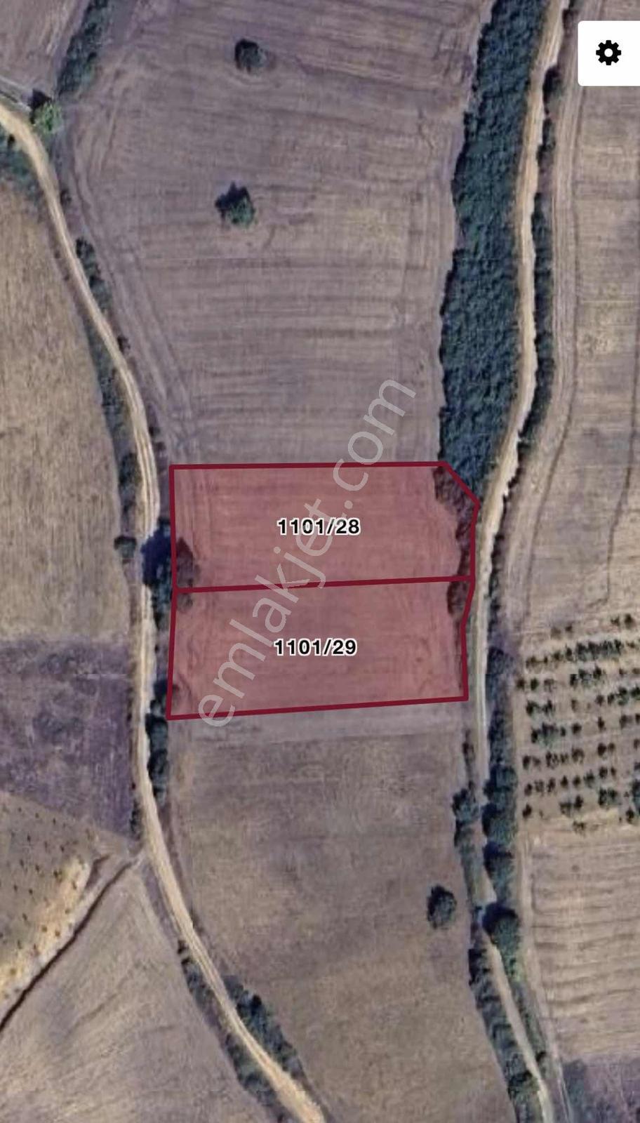 Karataş'Tan 2800 M2 Yolu Olan Kupon Arazi