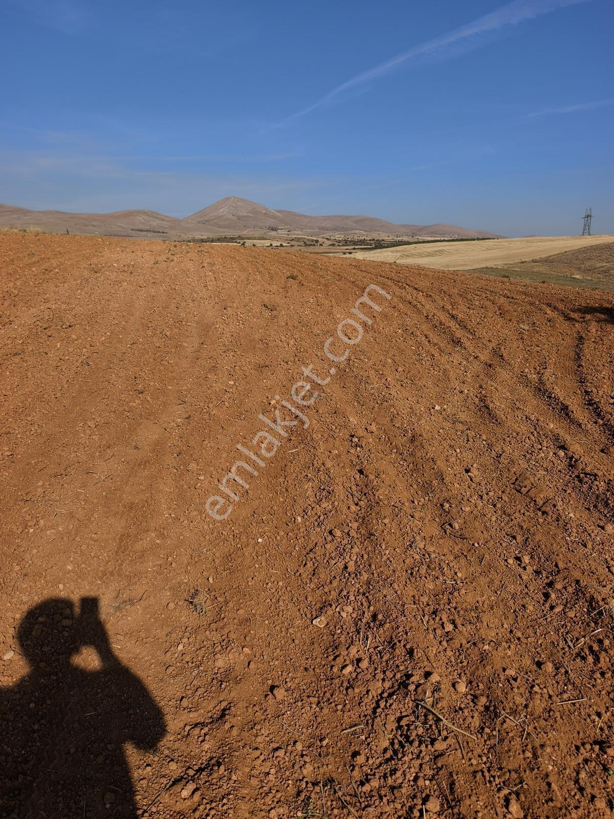 Yıldırım Emlakta Darende Günpınarda Satılık 24.764 M2 Sulu Tarla — fotoğraf 2