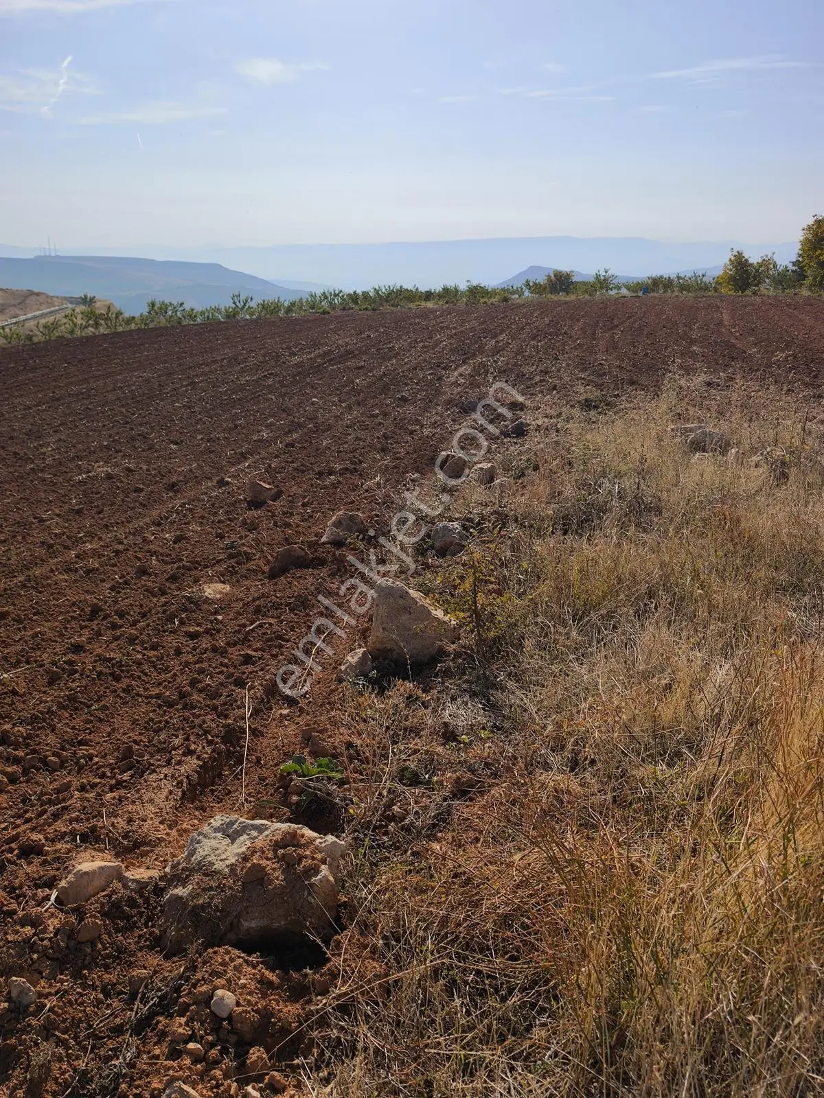 Yıldırım Emlakta Darende Günpınarda Satılık 24.764 M2 Sulu Tarla — fotoğraf 7