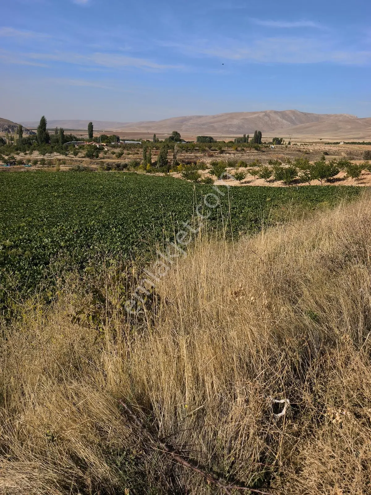 Yıldırım Emlakta Darende Günpınarda Satılık 24.764 M2 Sulu Tarla — fotoğraf 8