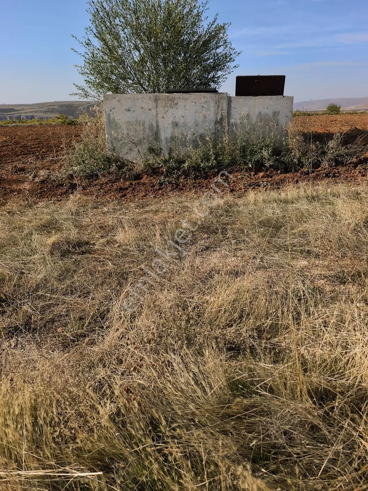 Yıldırım Emlakta Darende Günpınarda Satılık 24.764 M2 Sulu Tarla — fotoğraf 9