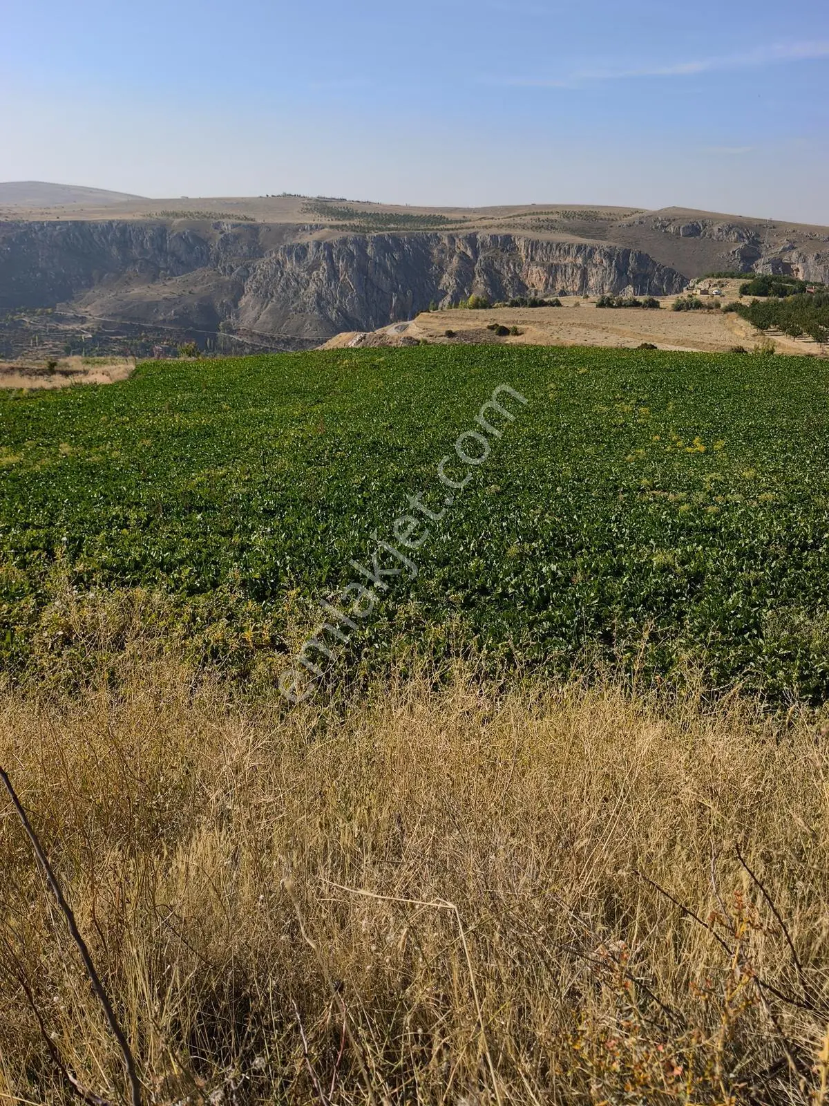 Yıldırım Emlakta Darende Günpınarda Satılık 24.764 M2 Sulu Tarla — fotoğraf 10