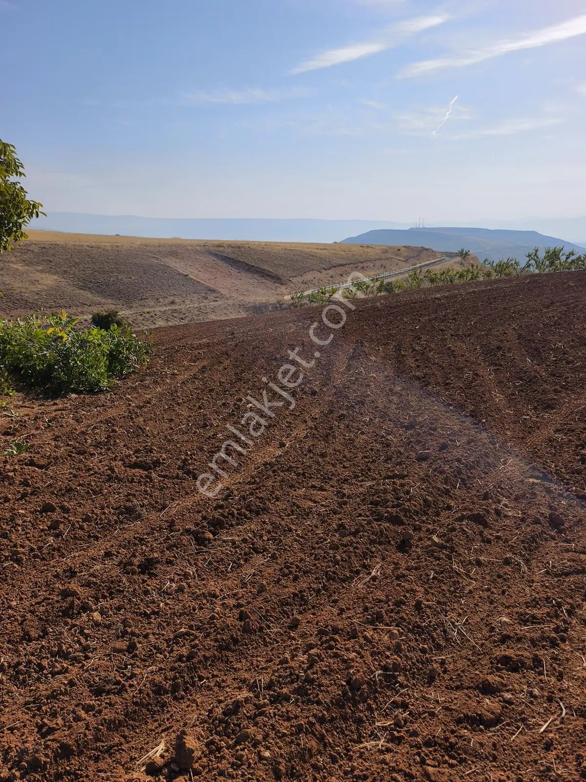 Yıldırım Emlakta Darende Günpınarda Satılık 24.764 M2 Sulu Tarla — fotoğraf 12