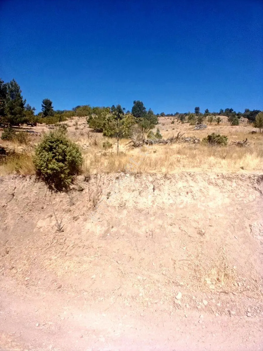 Doğubey'den Keles Harmanalanın Da Yola Cephe 4.211 M² Arazi — fotoğraf 9