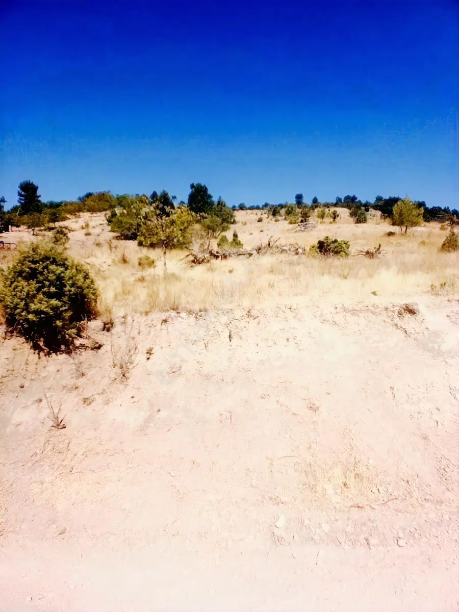 Doğubey'den Keles Harmanalanın Da Yola Cephe 4.211 M² Arazi — fotoğraf 14