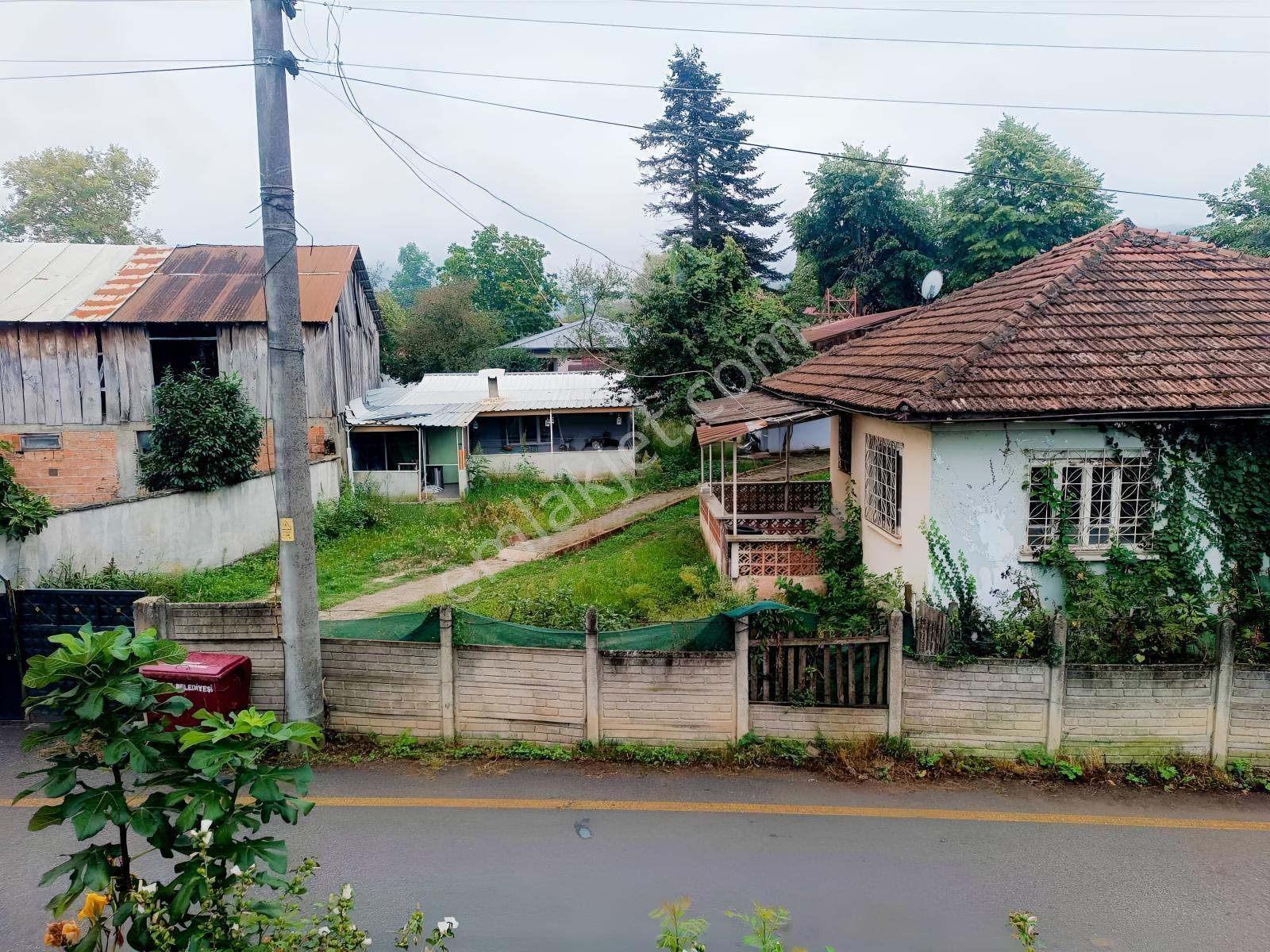 İçerisinde 2 Ad Yapı+1ad Konteyner Bulunan Satılık Bahçe — fotoğraf 3