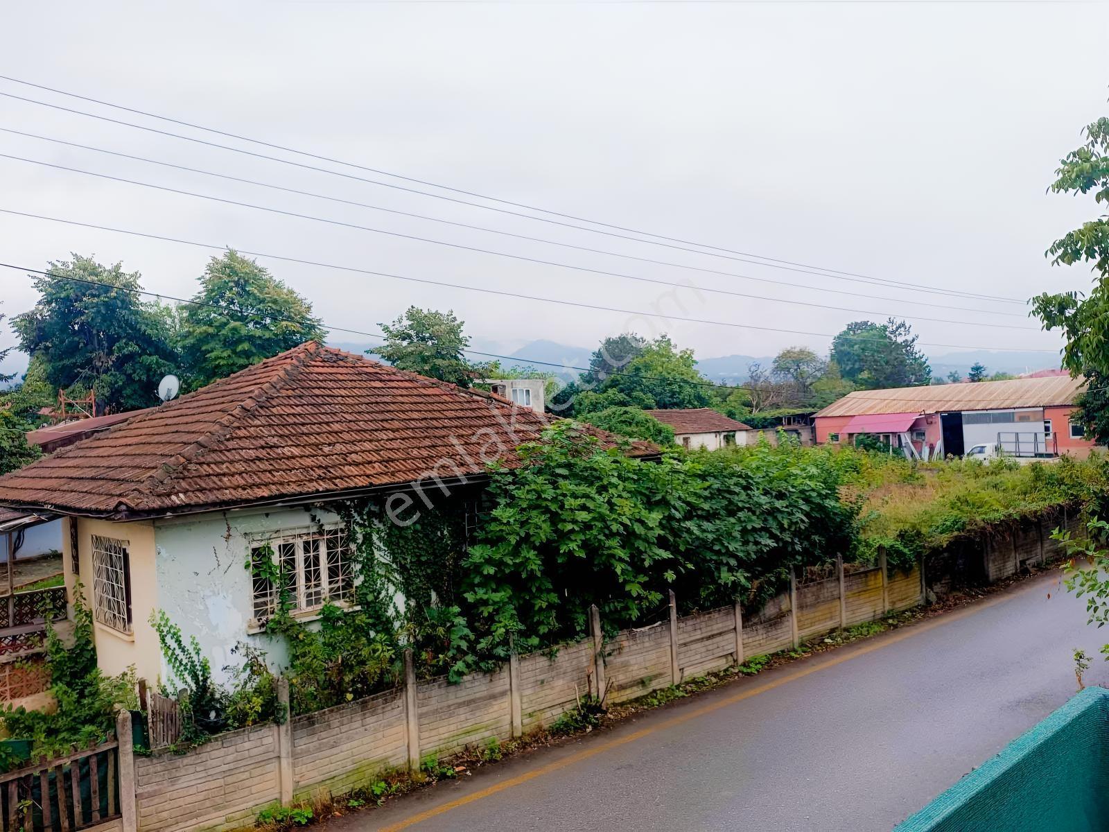 İçerisinde 2 Ad Yapı+1ad Konteyner Bulunan Satılık Bahçe — fotoğraf 4