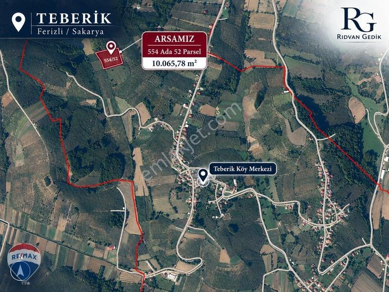 Remax Rıdvan Gedik'ten Ferizli Teberikte 10065 M2 Fındık Bahçesi — fotoğraf 5