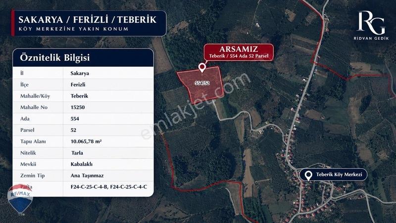 Remax Rıdvan Gedik'ten Ferizli Teberikte 10065 M2 Fındık Bahçesi — fotoğraf 6